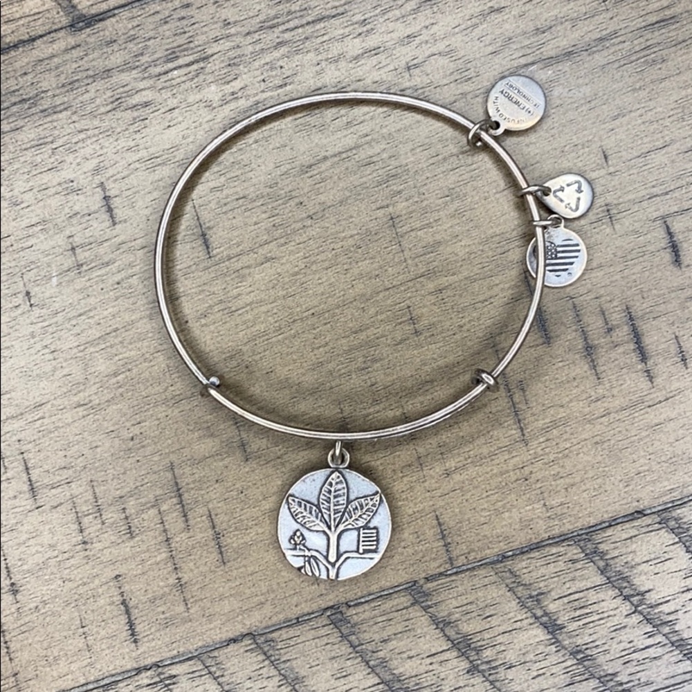 Alex and Ani “Ash” Bracelet